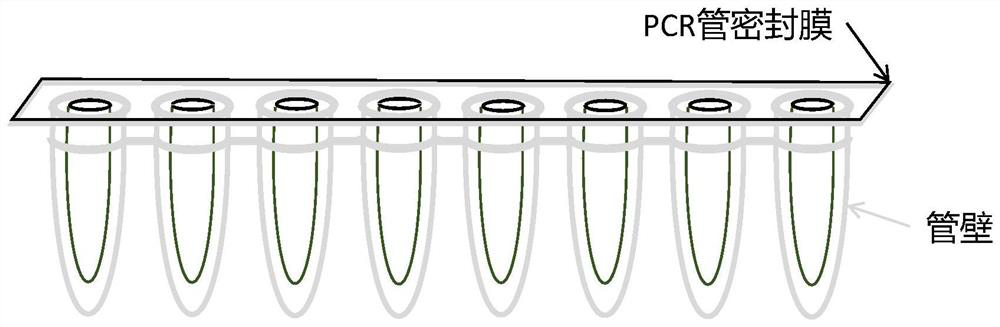 Detection kit for metabolic markers of ondansetron and tropisetron, detection method of detection kit and application of detection kit and detection method