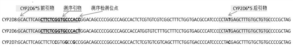 Detection kit for metabolic markers of ondansetron and tropisetron, detection method of detection kit and application of detection kit and detection method