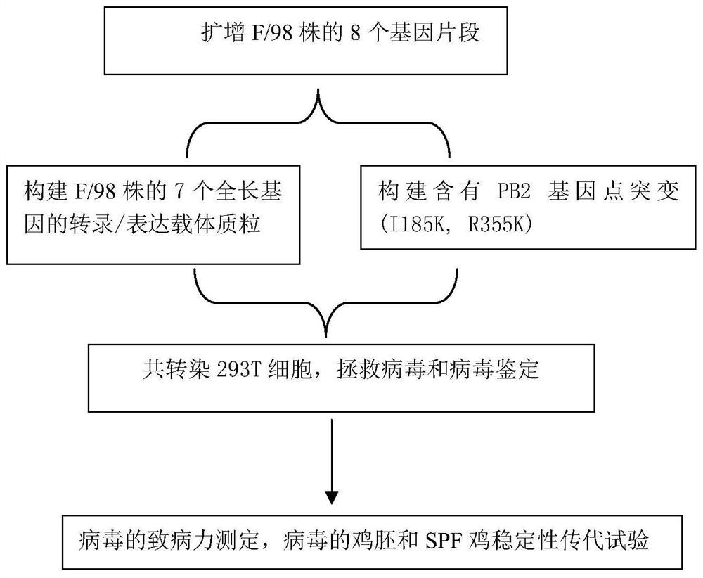 Recombinant h9n2 avian influenza virus strain, preparation method thereof, avian influenza vaccine and application thereof