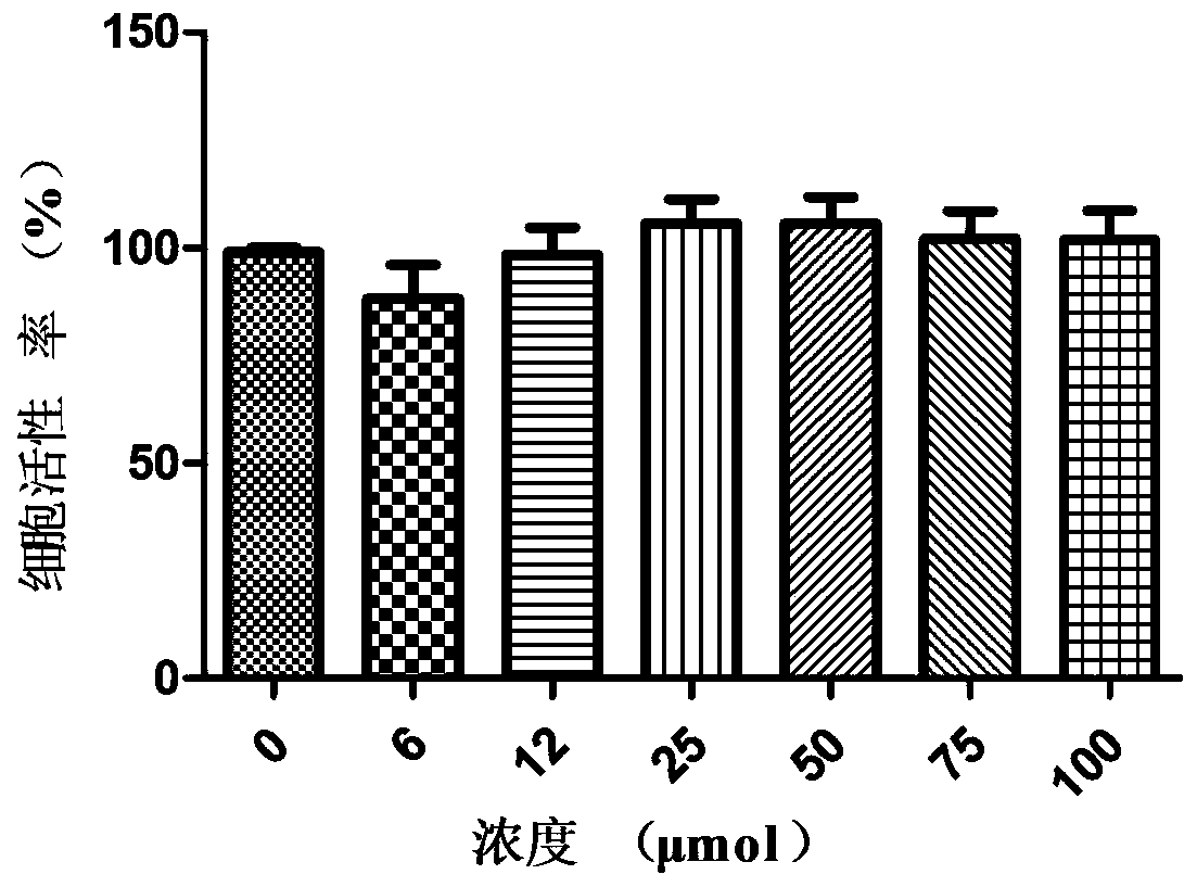 Application of mycophenolate mofetil in preparing medicine for preventing or treating foot-and-mouth disease virus infection