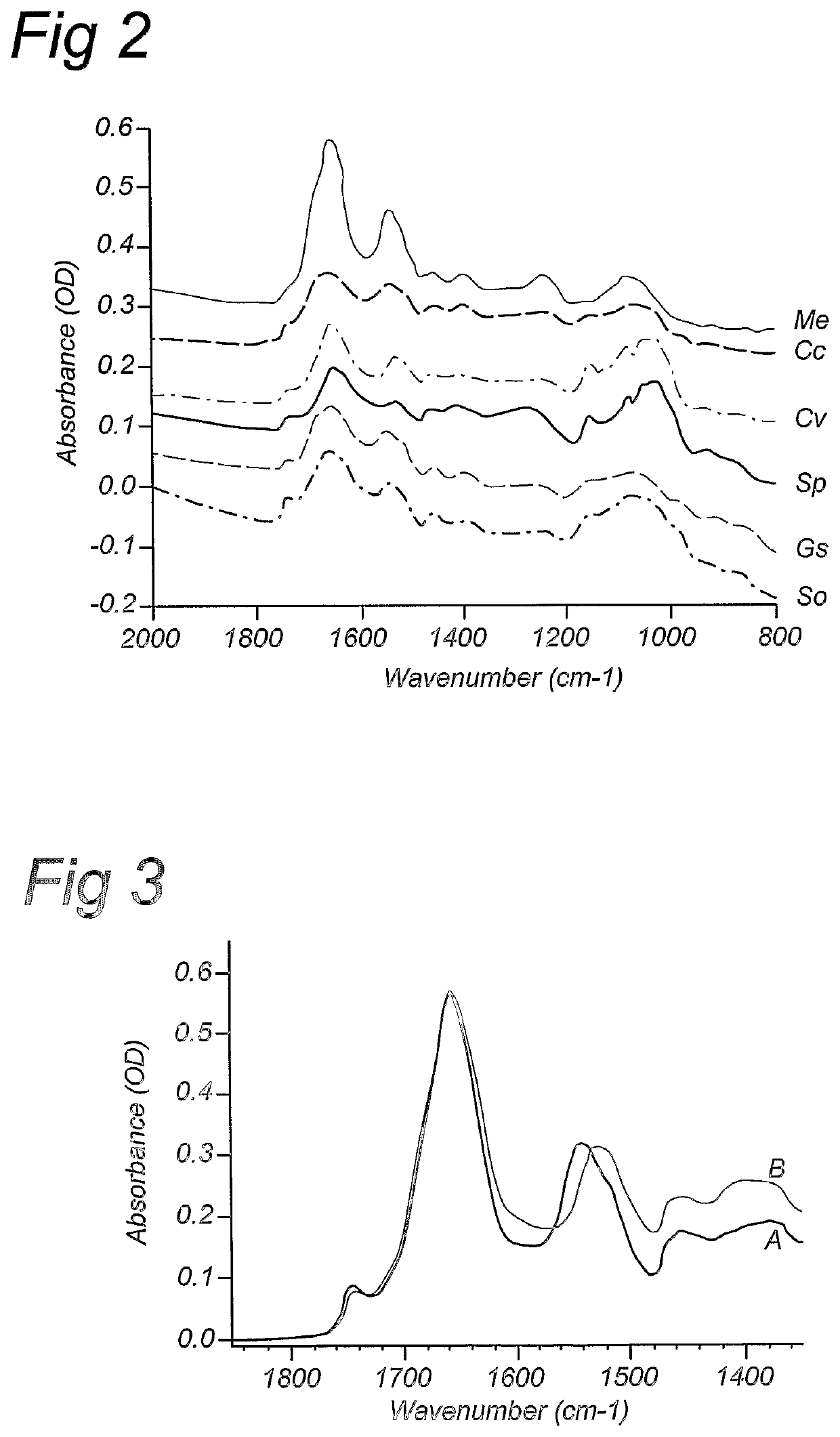 Compositions and methods for stable isotope labelling of biological compounds