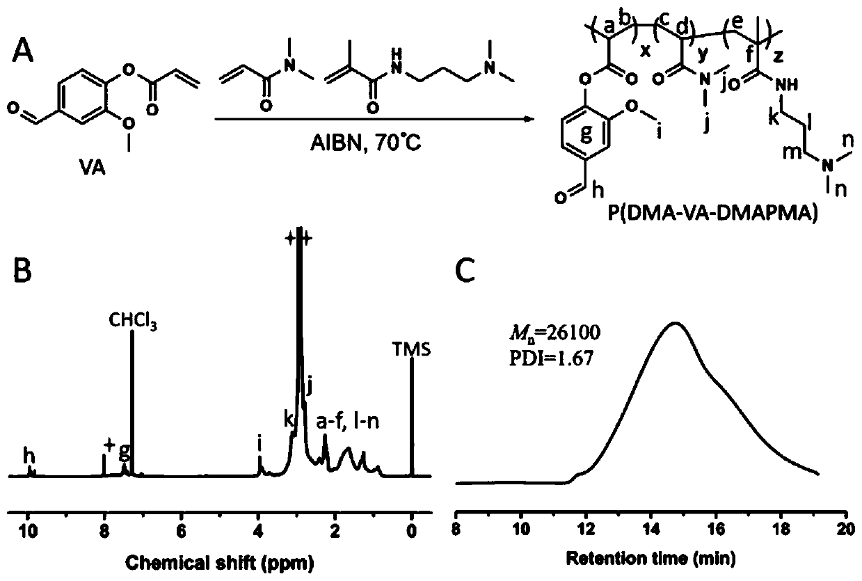 Self-repairing hydrogel synthesized through autocatalysis, preparation method of gel precursor of the self-repairing hydrogel, and synthesis method of hydrogel