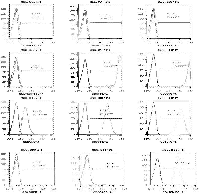 Method for isolation and serum gradient switching culture of human umbilical cord mesenchymal stem cells