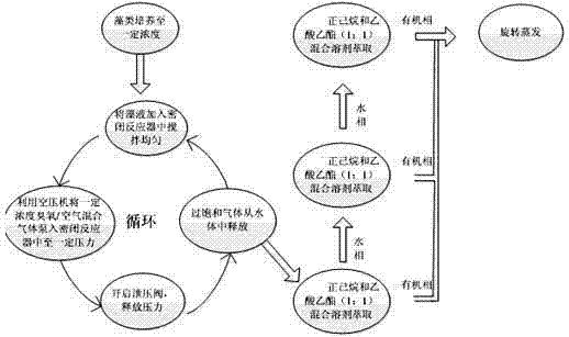 Biological grease in algae cell and preparation method and application of biological grease