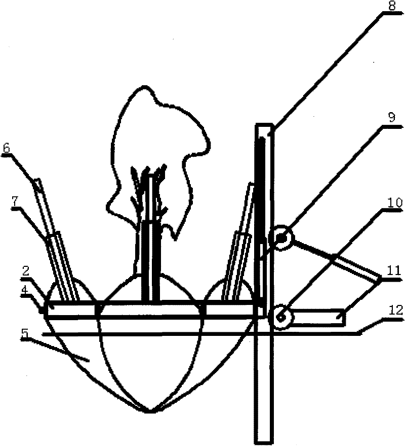 Enclosed ellipsoid tree digging shovel blade