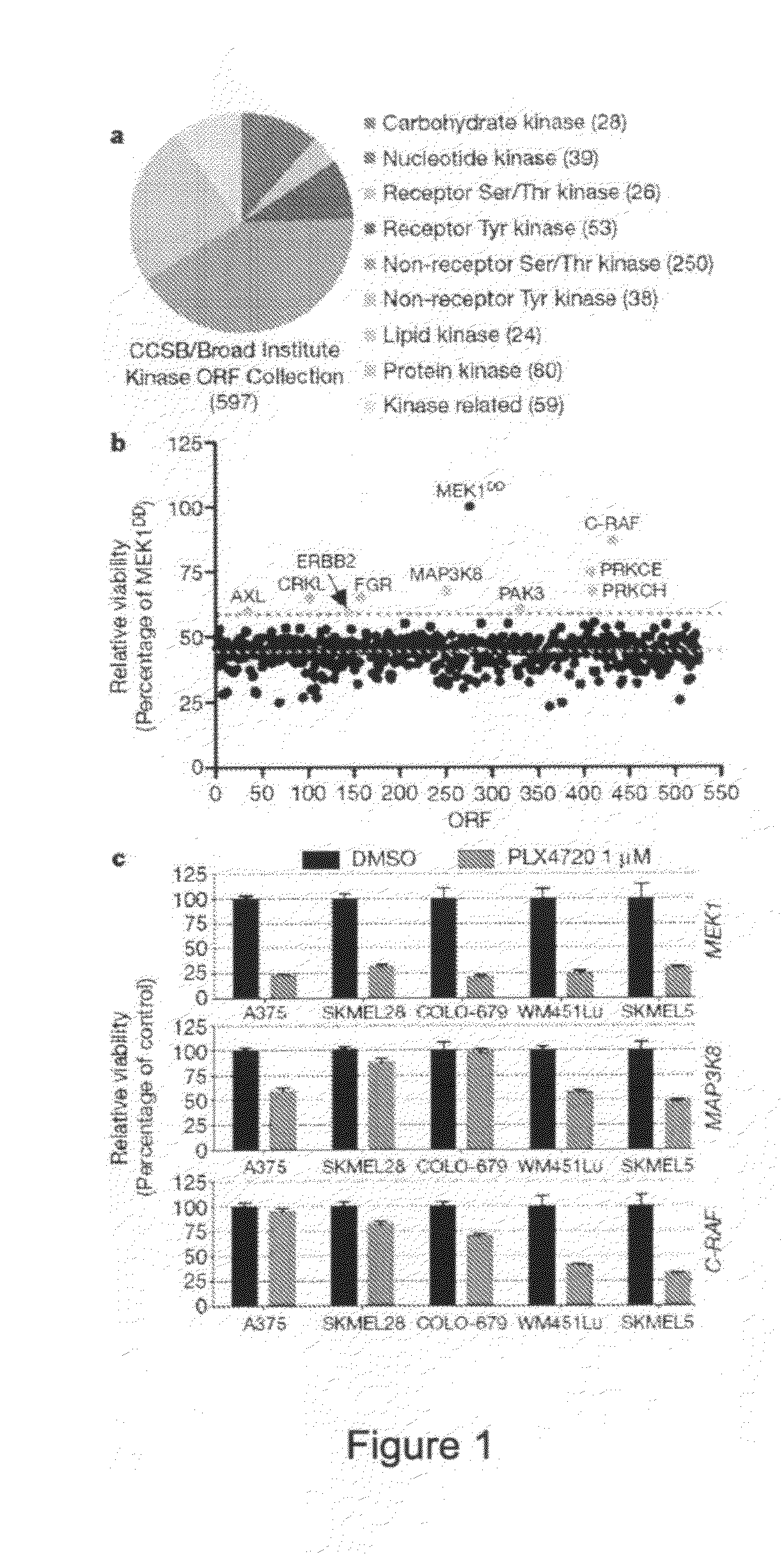 Methods of Diagnosing and Treating Cancer in Patients Having or Developing Resistance to a First Cancer Therapy