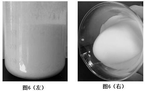 Preparation and liquid preparation method of integrated self-crosslinking thickener modified polymer for fracturing