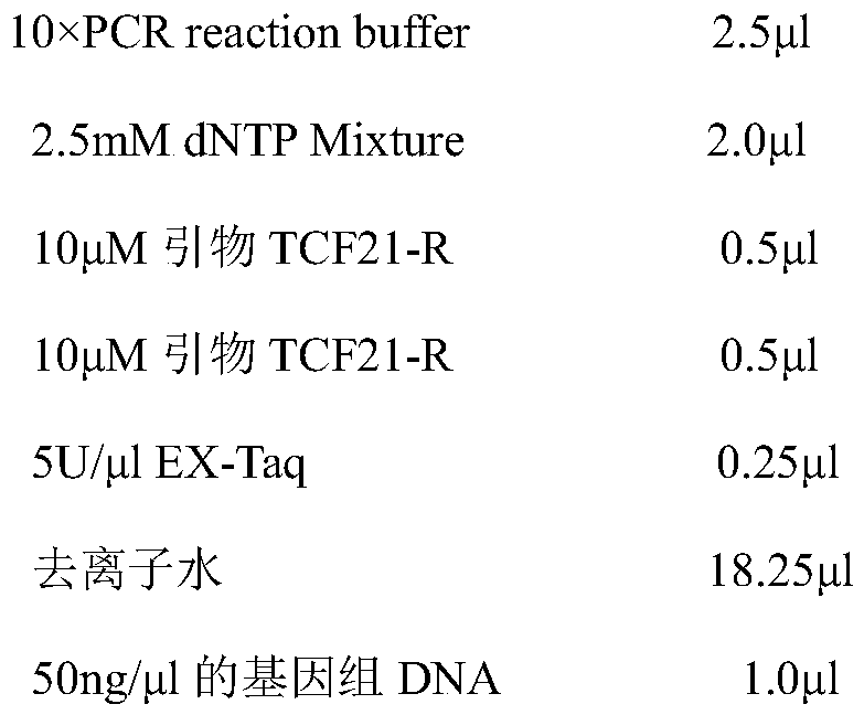 Molecular marker method for predicting and identifying chicken abdominal fat weight