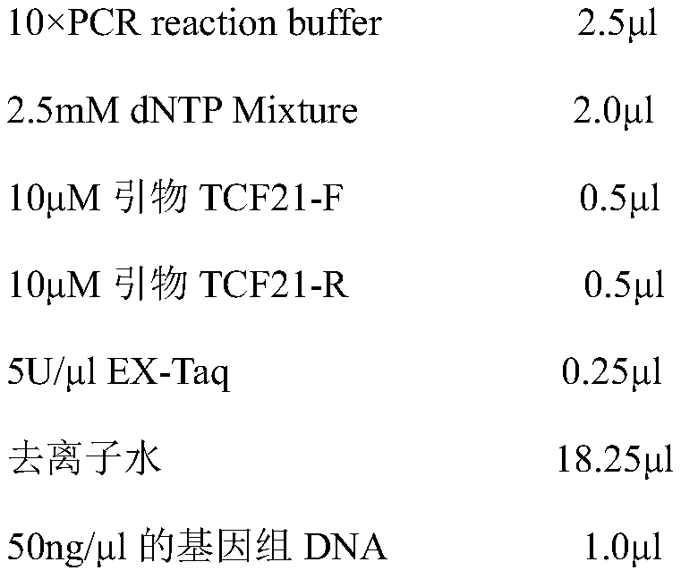 Molecular marker method for predicting and identifying chicken abdominal fat weight