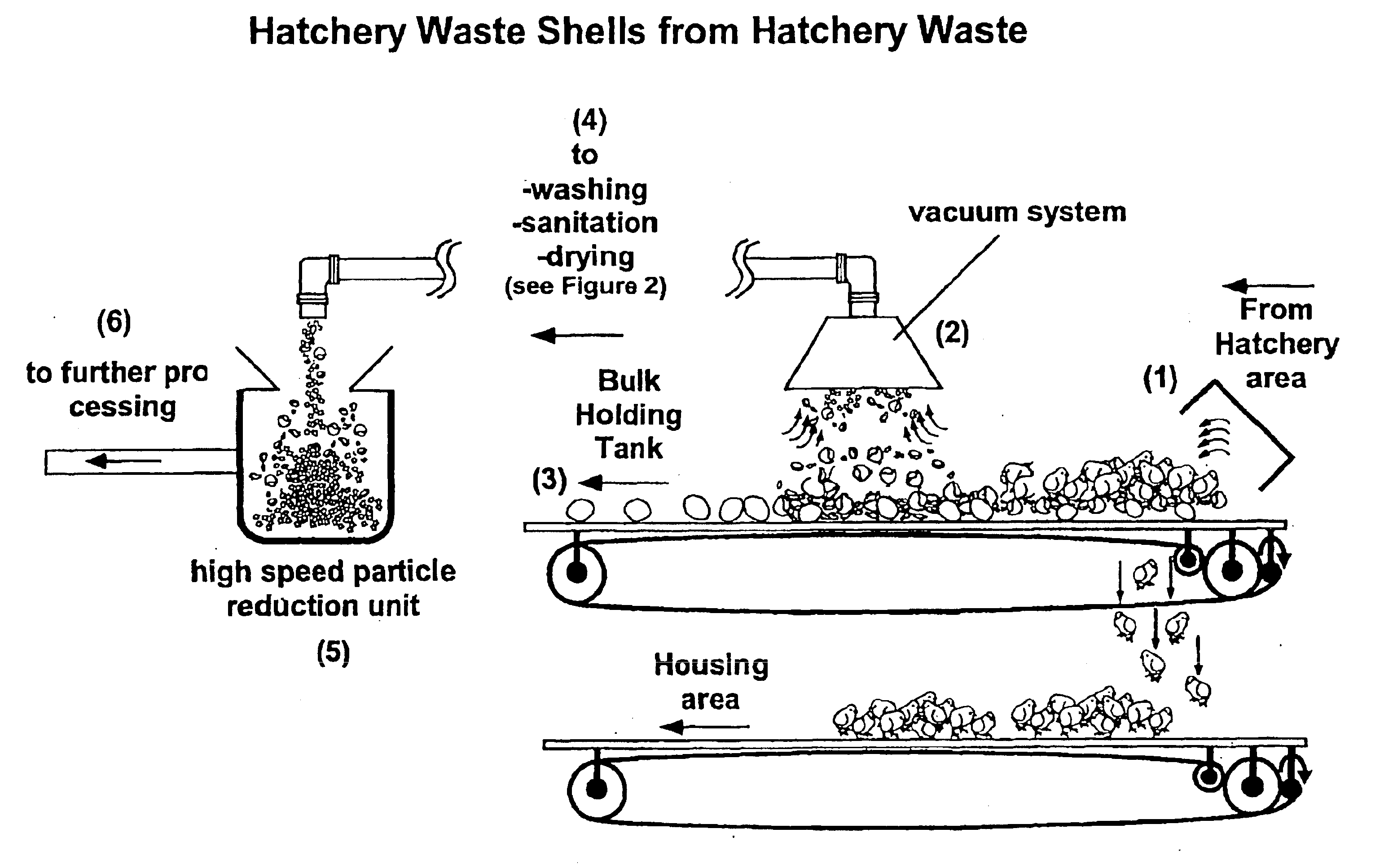 Hatchery eggshell waste processing method and device