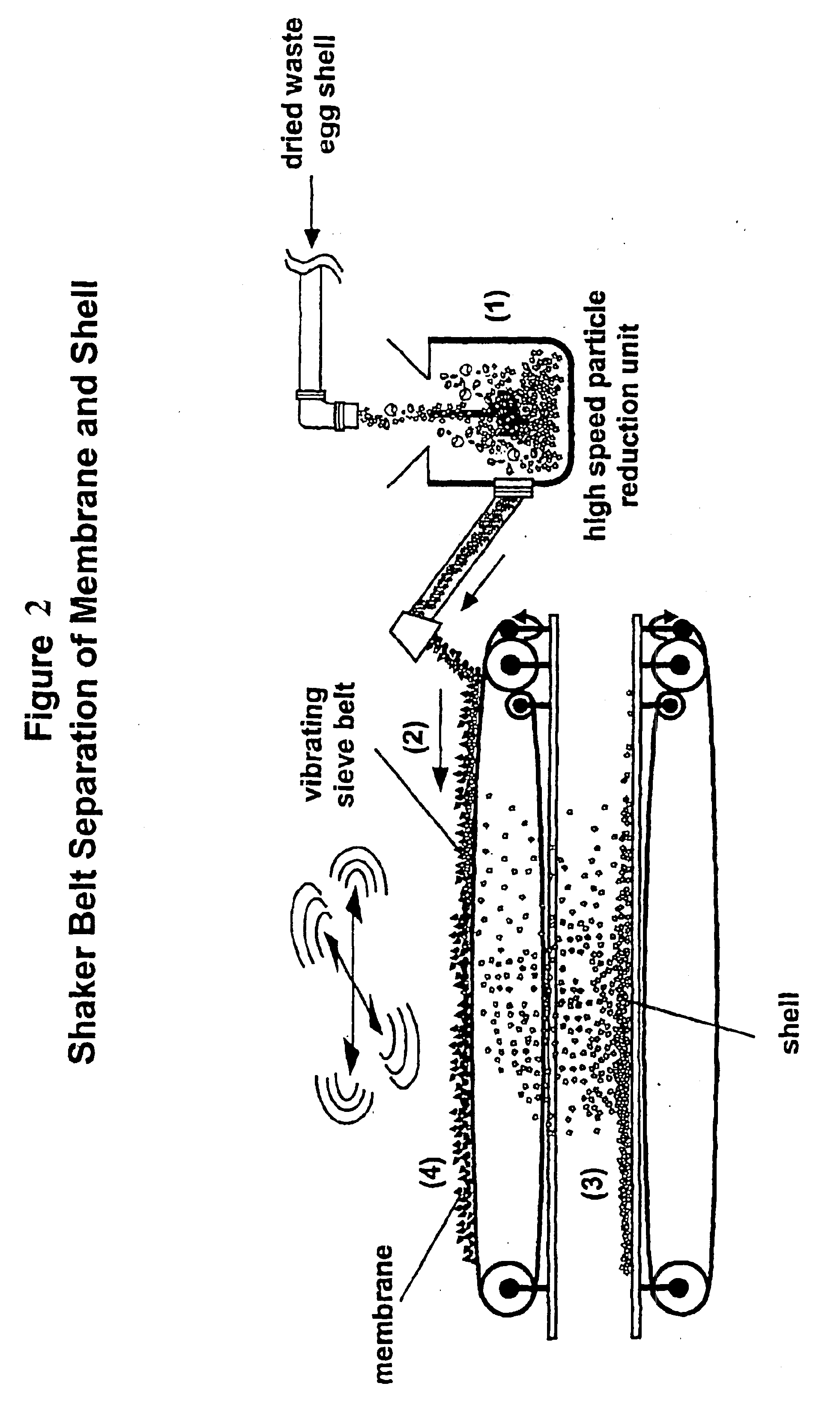Hatchery eggshell waste processing method and device