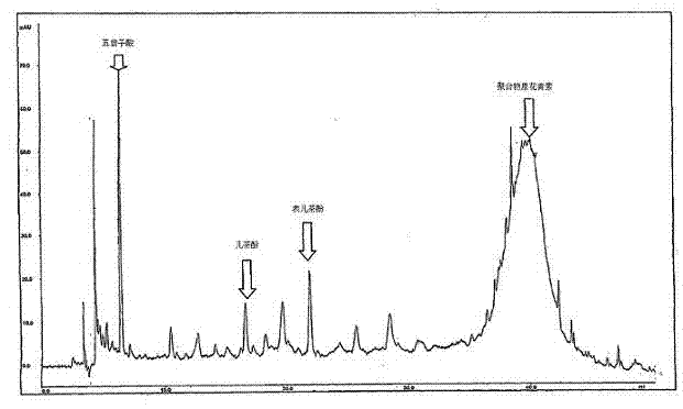 Method for producing grape seed extract
