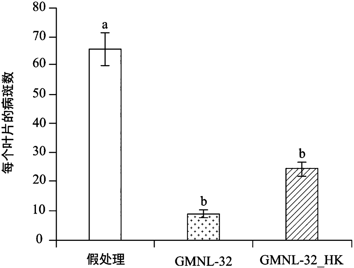 Plant growth regulator for improving stress resistance and application thereof