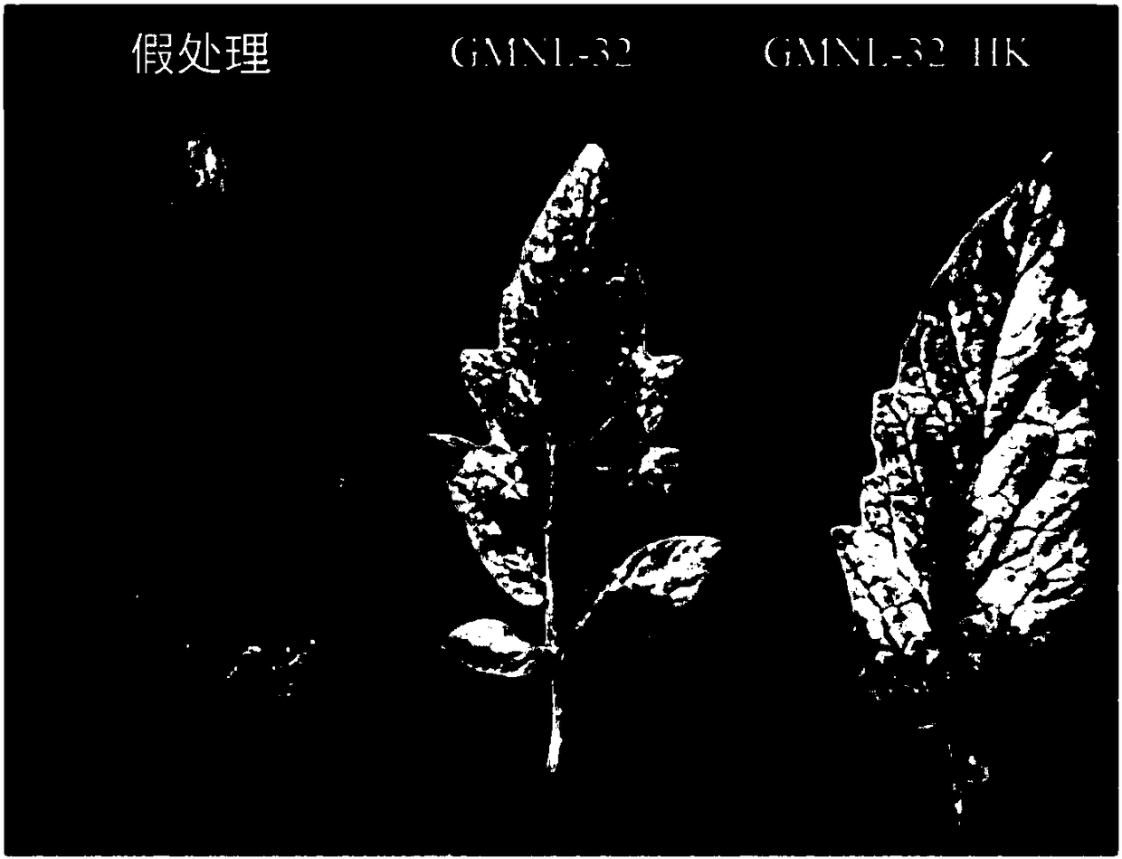 Plant growth regulator for improving stress resistance and application thereof