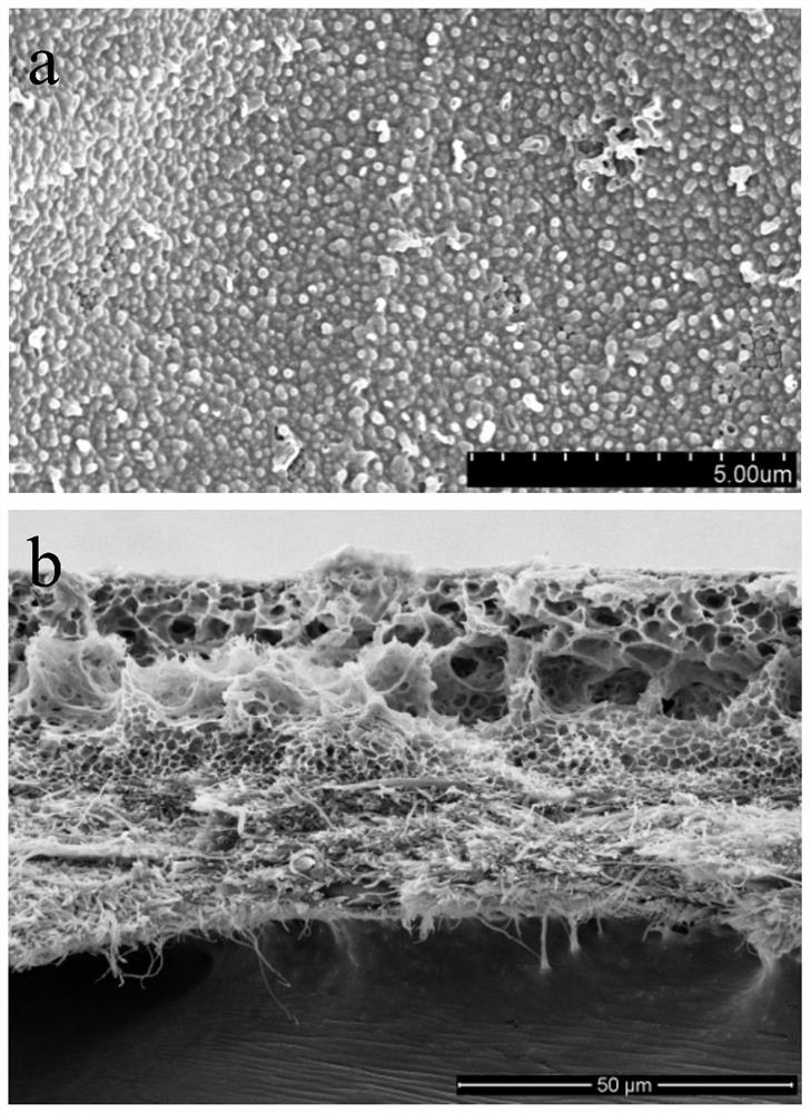 Enhanced nano-composite forward osmosis membrane as well as preparation method and application thereof