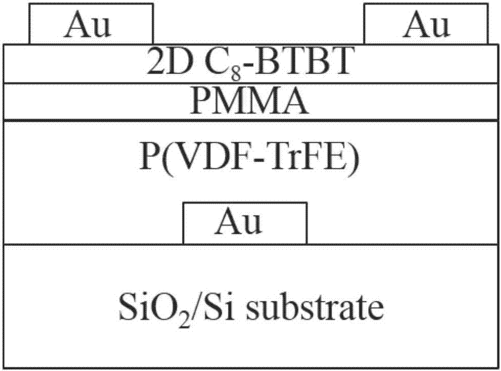 Fast ferroelectric transistor memory based on two-dimensional organic molecular semiconductors and preparation thereof
