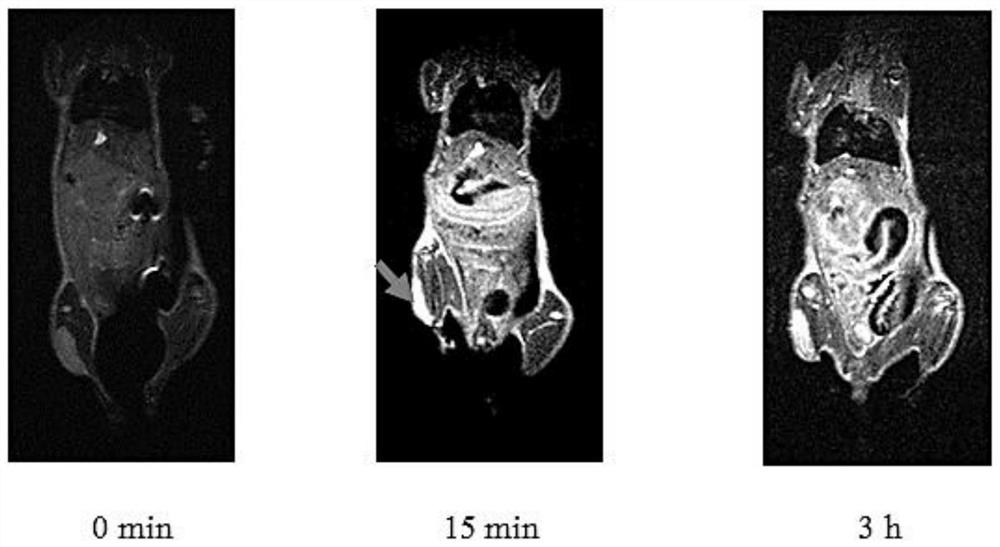 Polysaccharide magnetic resonance and fluorescence dual-mode imaging diagnostic agent and preparation method thereof and diagnostic reagent