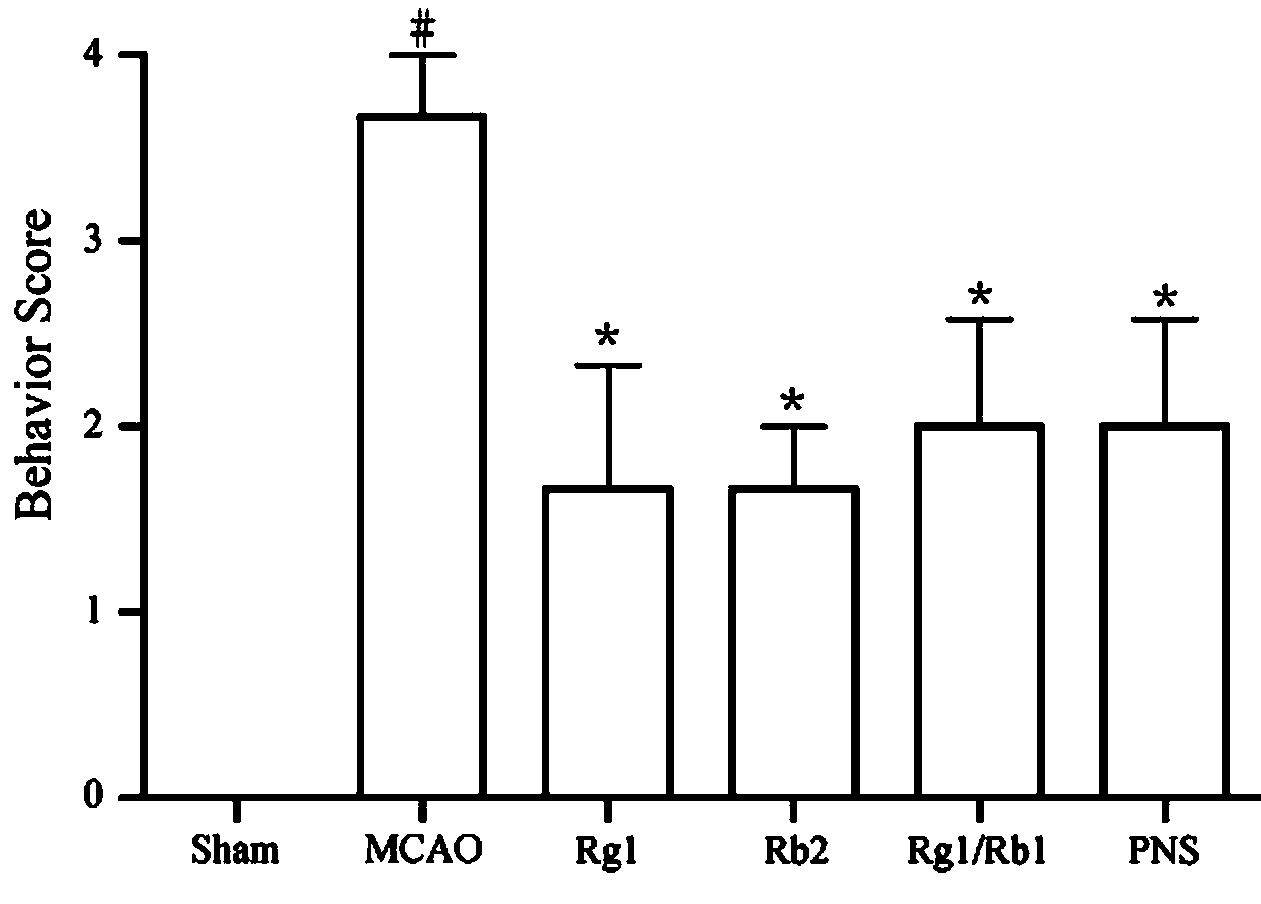 Total panax notoginsenosides, preparing method thereof, preparations thereof and applications thereof