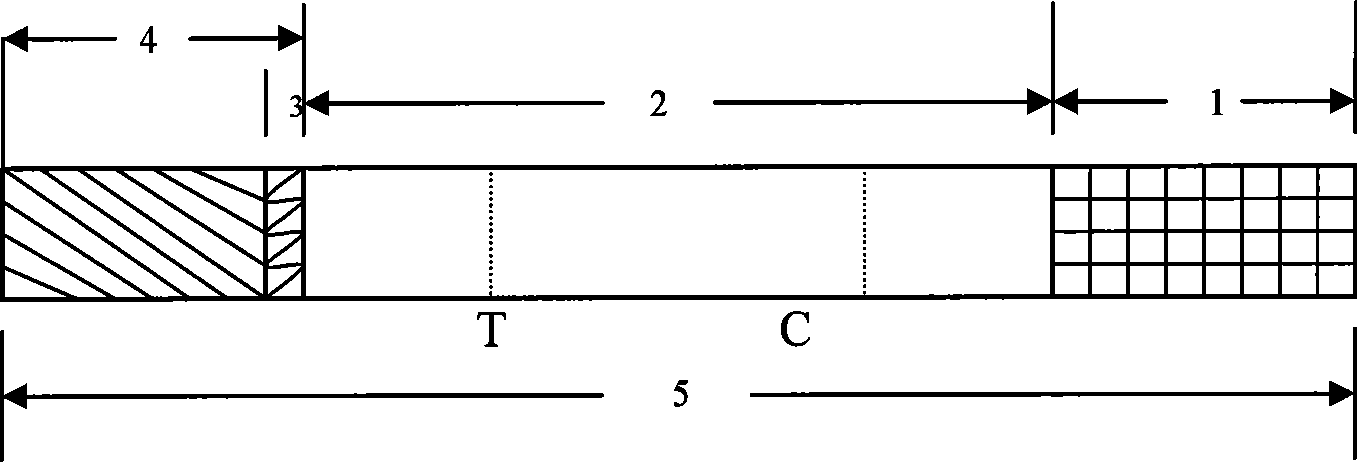 Test paper strip for detecting PRRSV antibody colloidal gold, method for making same and applications