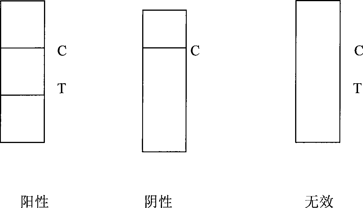 Test paper strip for detecting PRRSV antibody colloidal gold, method for making same and applications