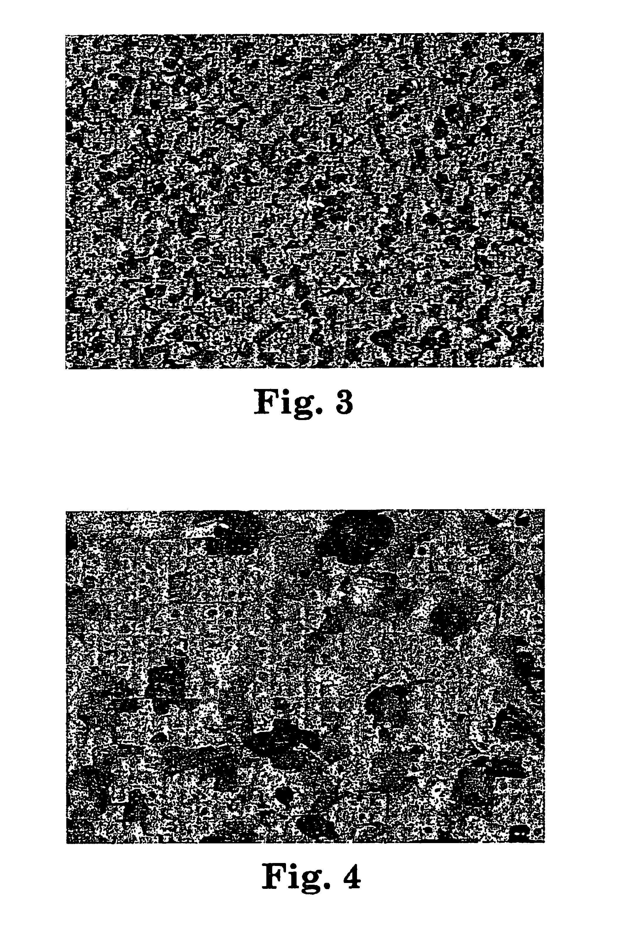 Flexible abrasive product and method of making and using the same