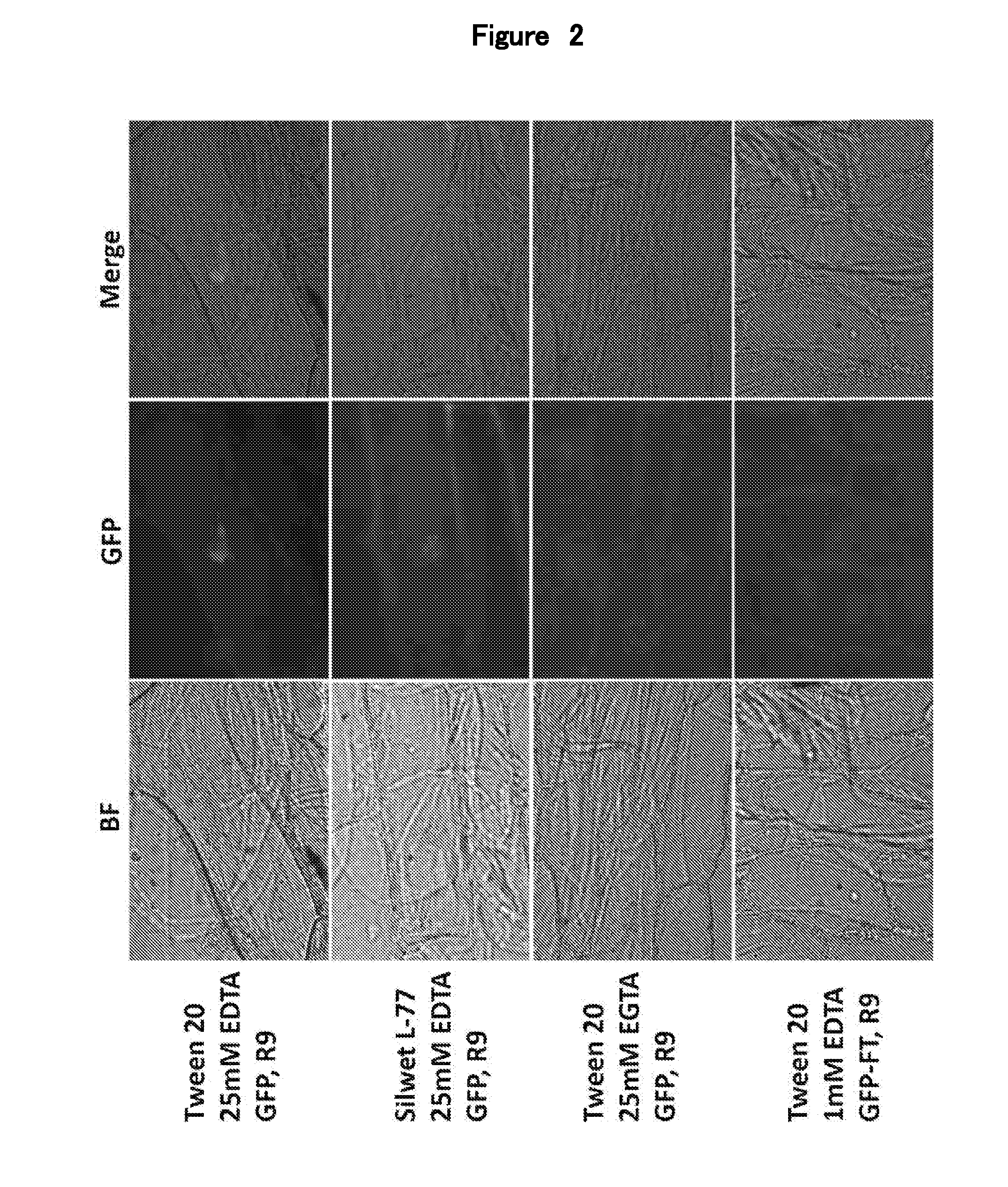 Treating agent for plant cell walls, substance delivery method using treating agent, and substance delivery system