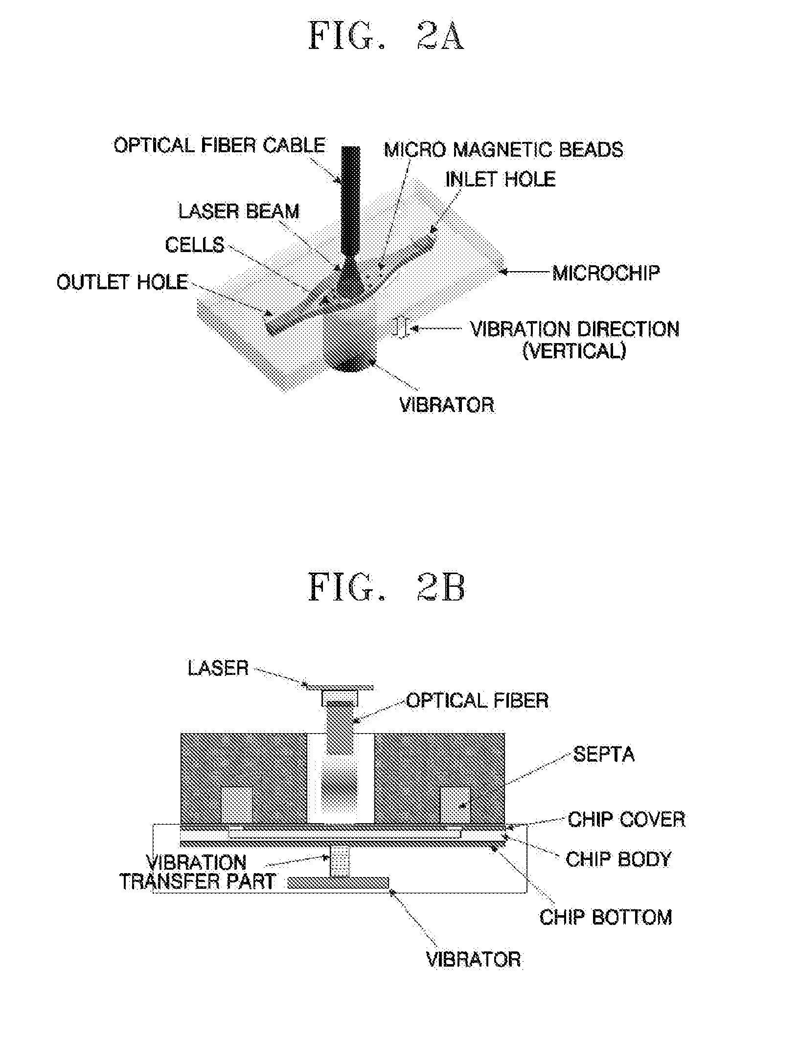 Method and apparatus for the rapid disruption of cells or viruses using micro beads and laser