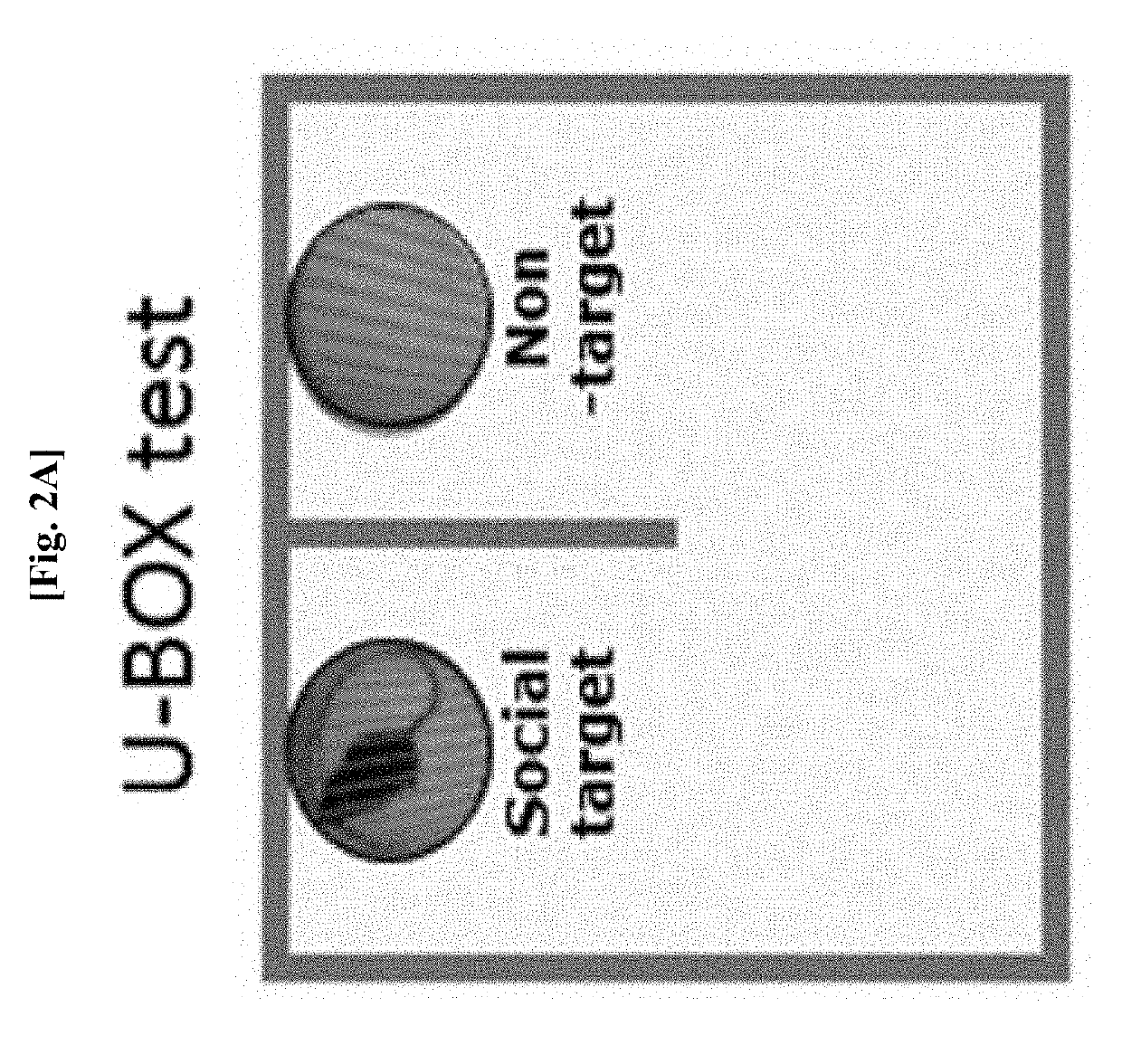 Composition for preventing or treating mental disorder, containing lactobacillus sp. bacteria-derived vesicle