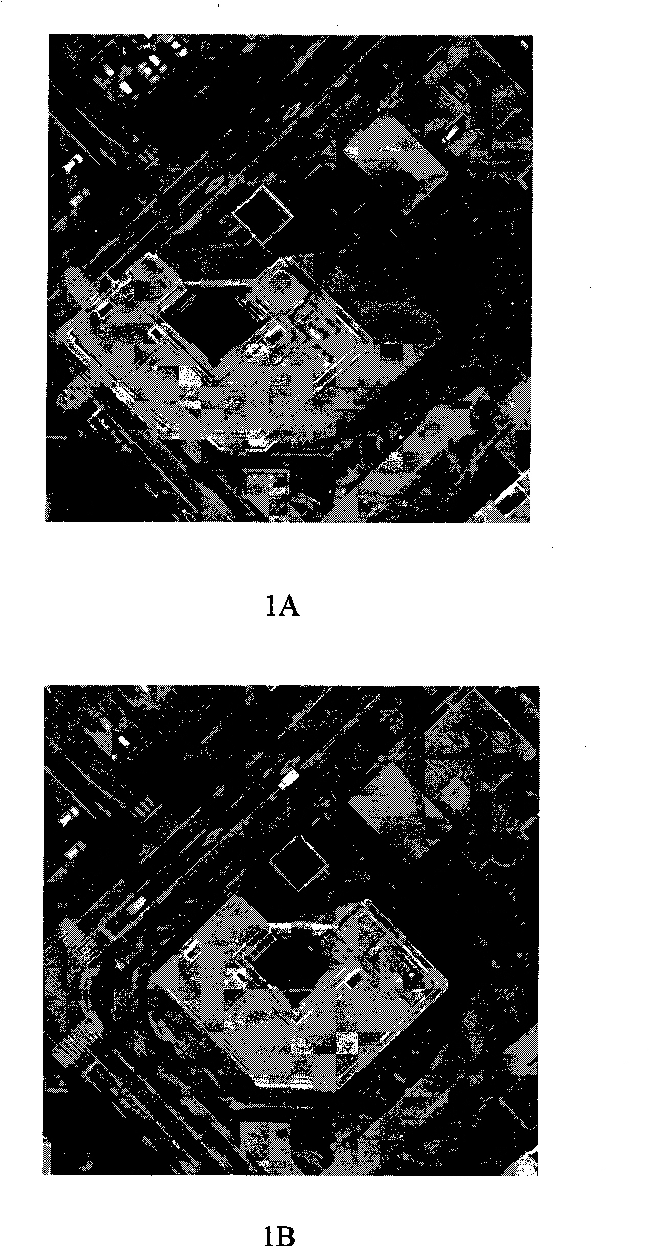 Method for rapidly constructing three-dimensional architecture scene through real orthophotos