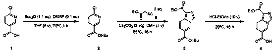 Synthetic method for 1-(ethoxycarbonyl)imidazo[1,5]pyridine-6-carboxylic acid