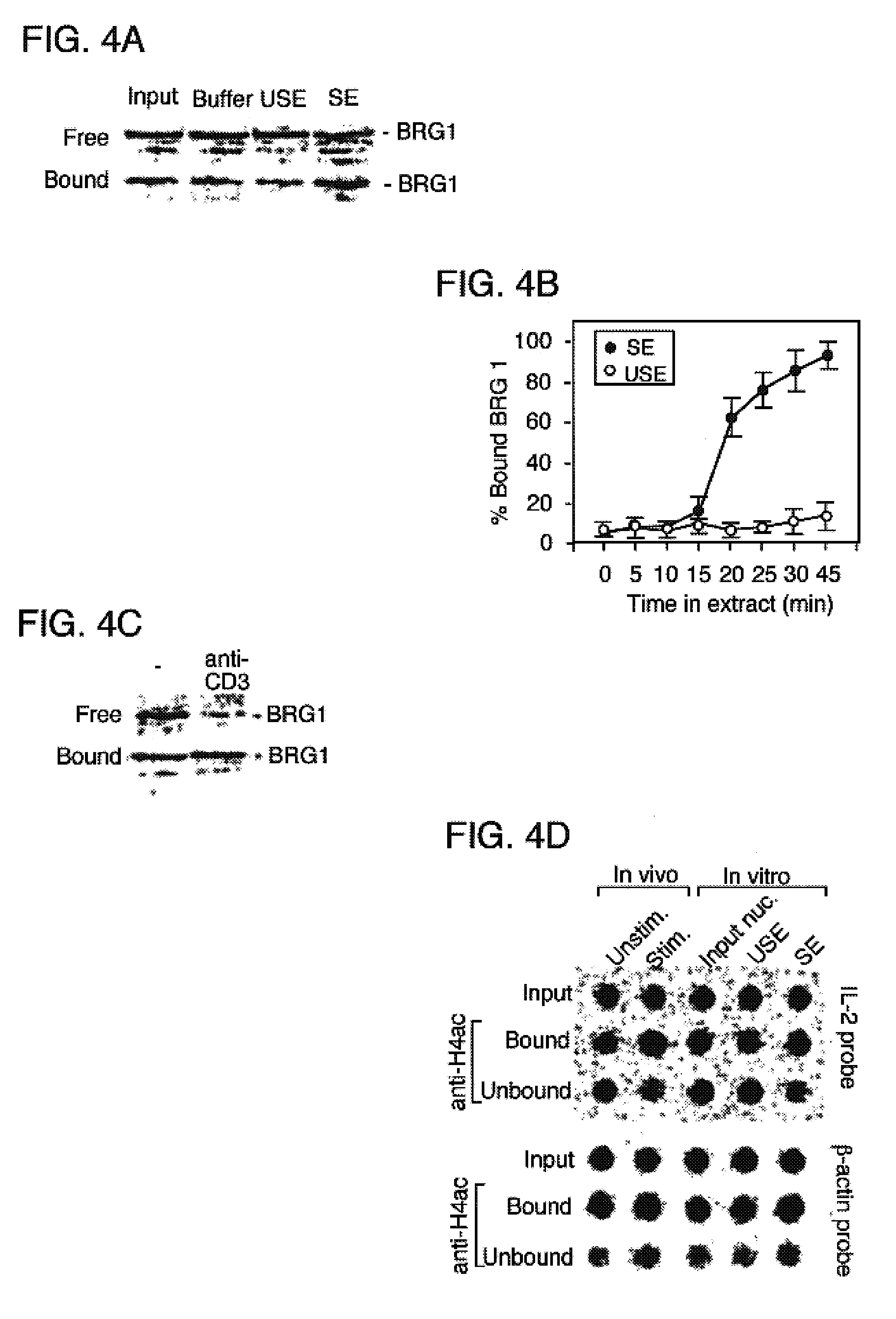 Methods for altering cell fate to generate T-cells specific for an antigen of interest