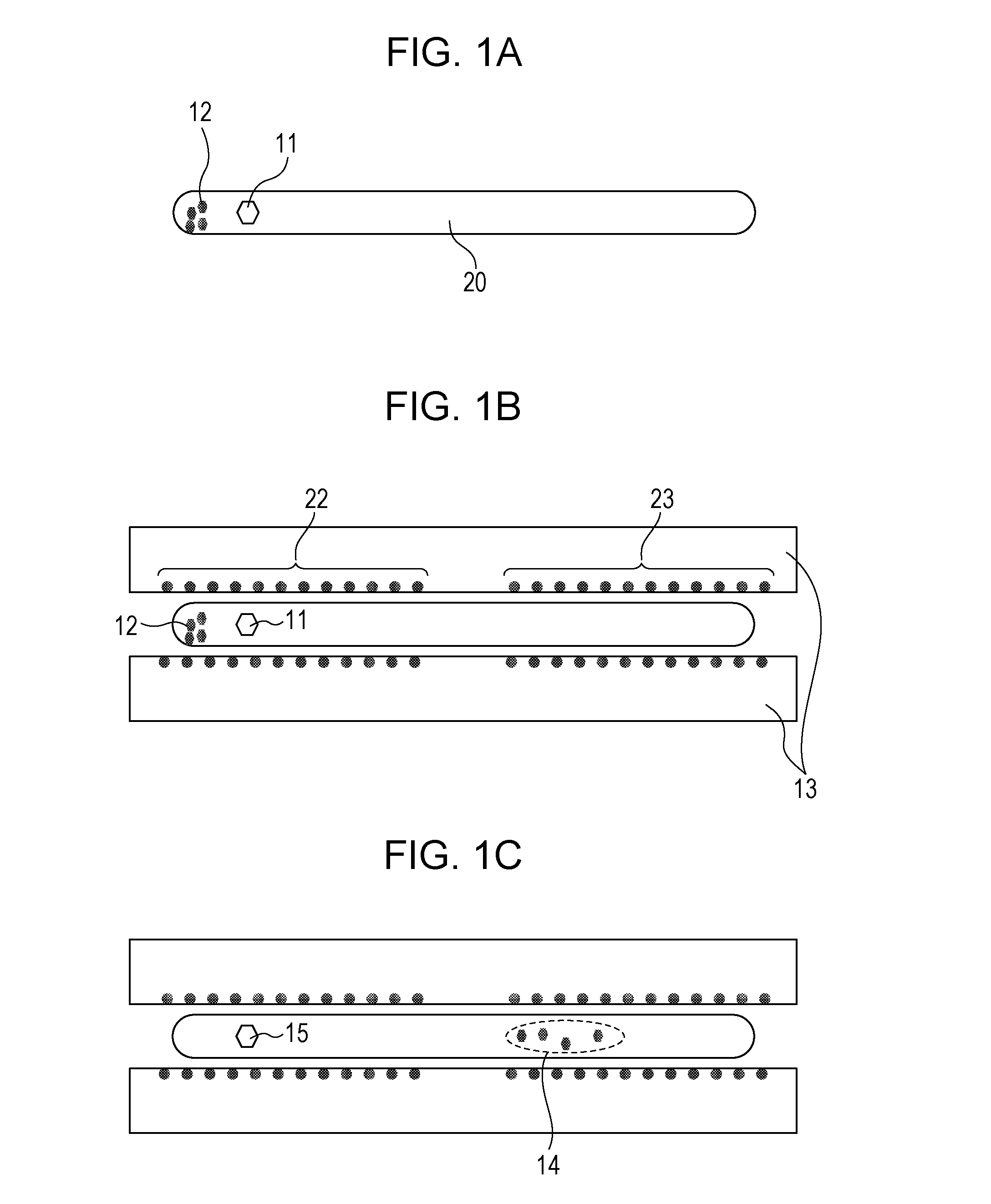 Method for preparing bismuth iodide article and method for manufacturing radiation detecting element