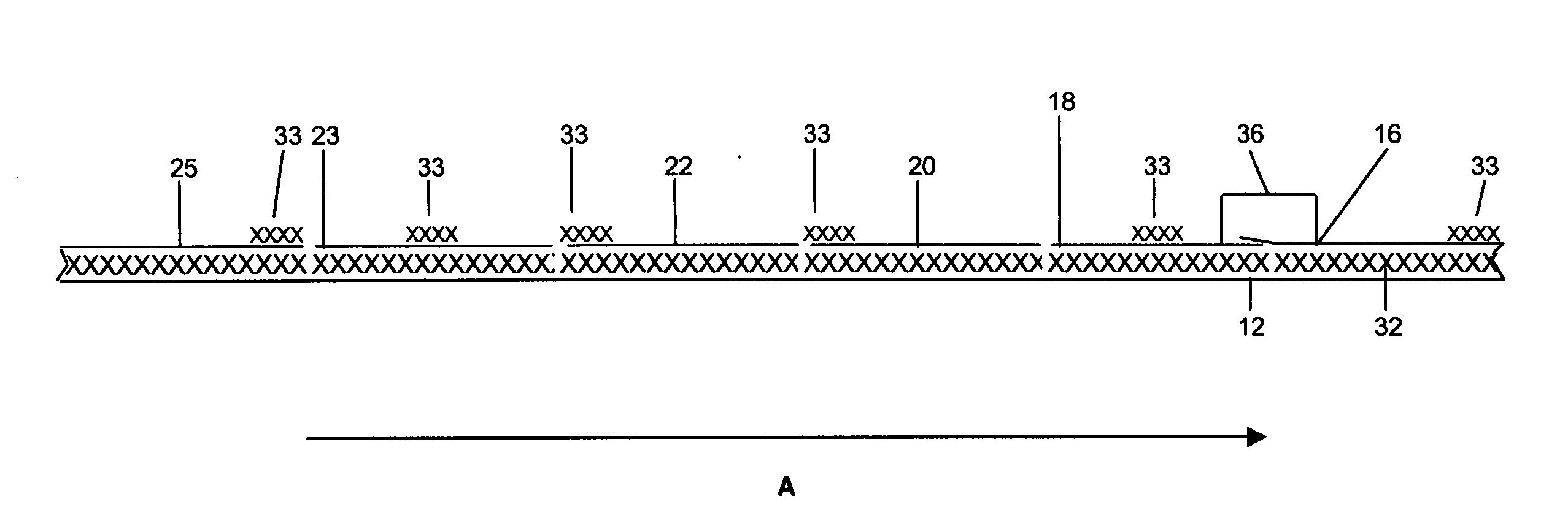 Continuous intermediate prime label pressure sensitive assembly