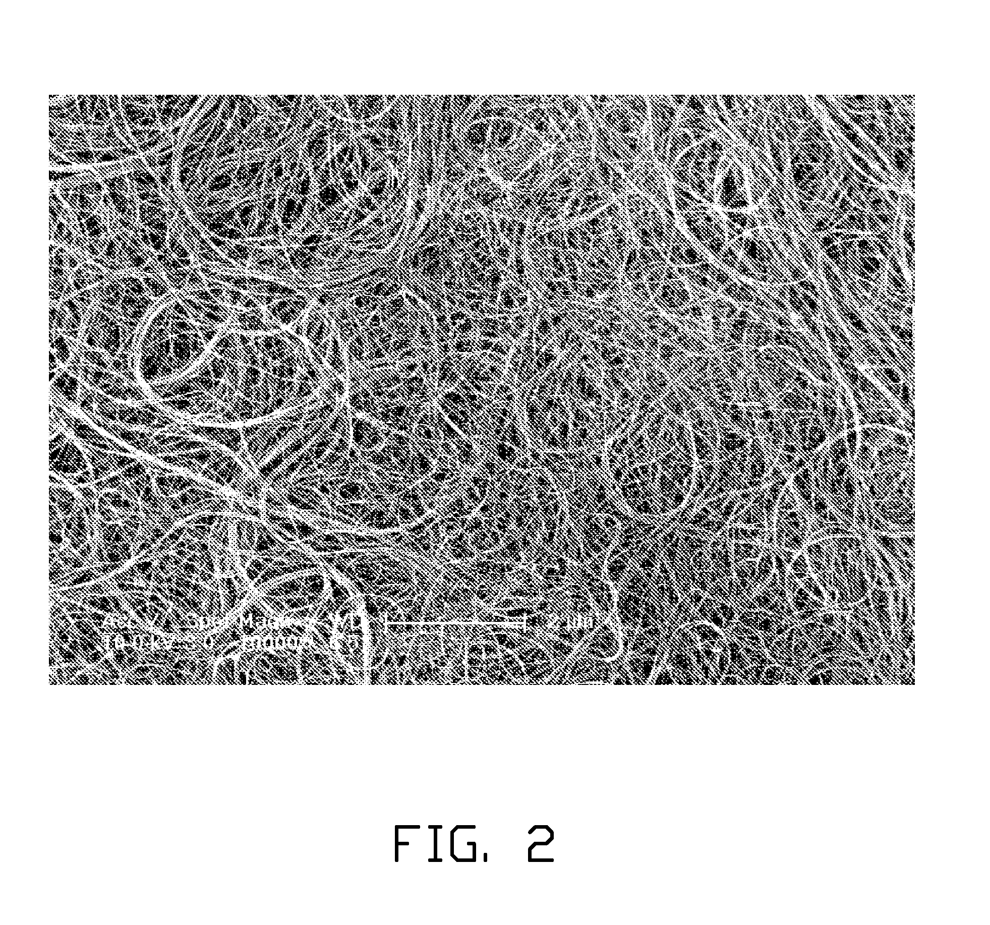 Carbon nanotube composite, method for making the same, and electrochemical capacitor using the same