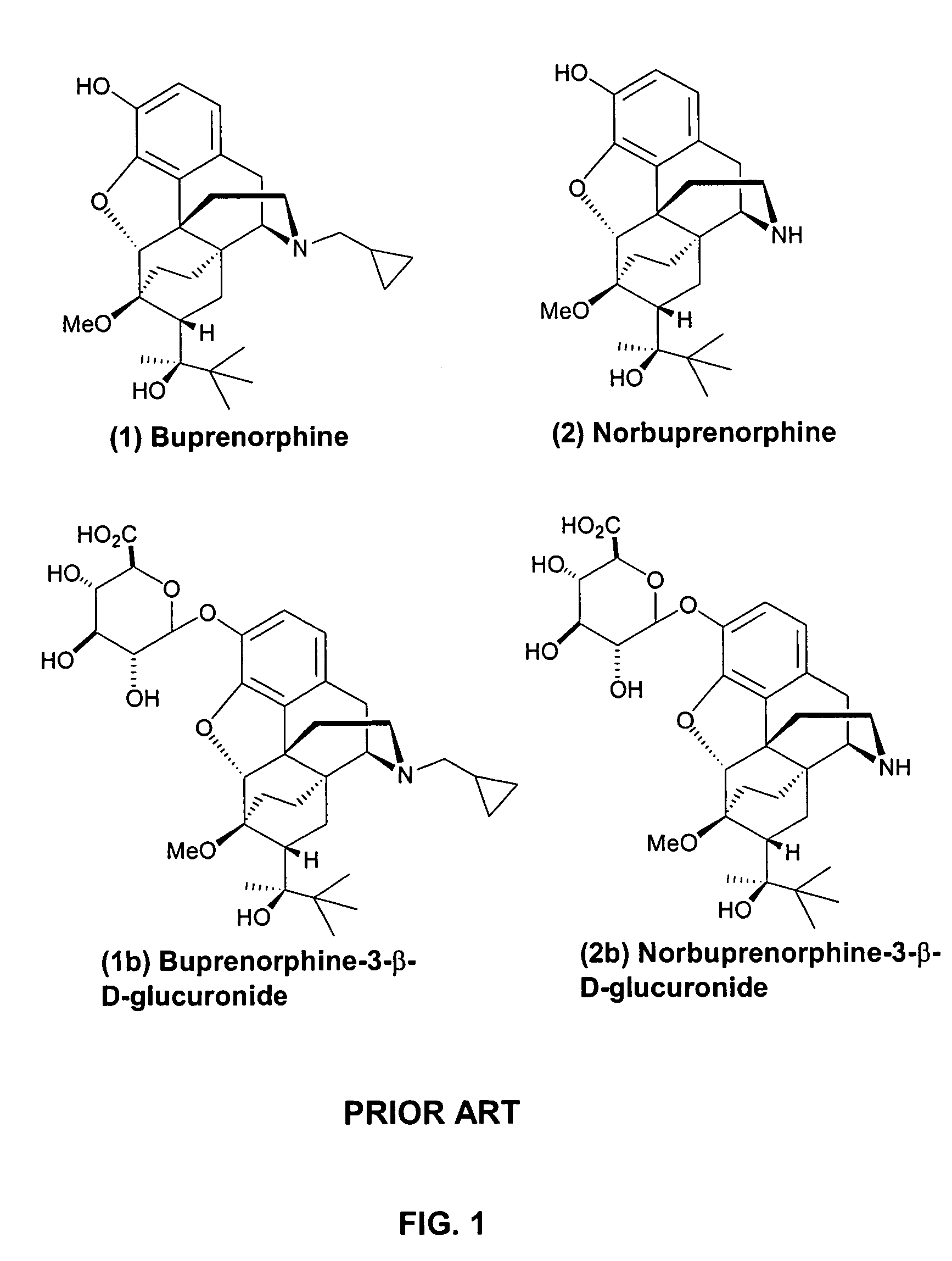 Immunoassays for buprenorphine and norbuprenorphine