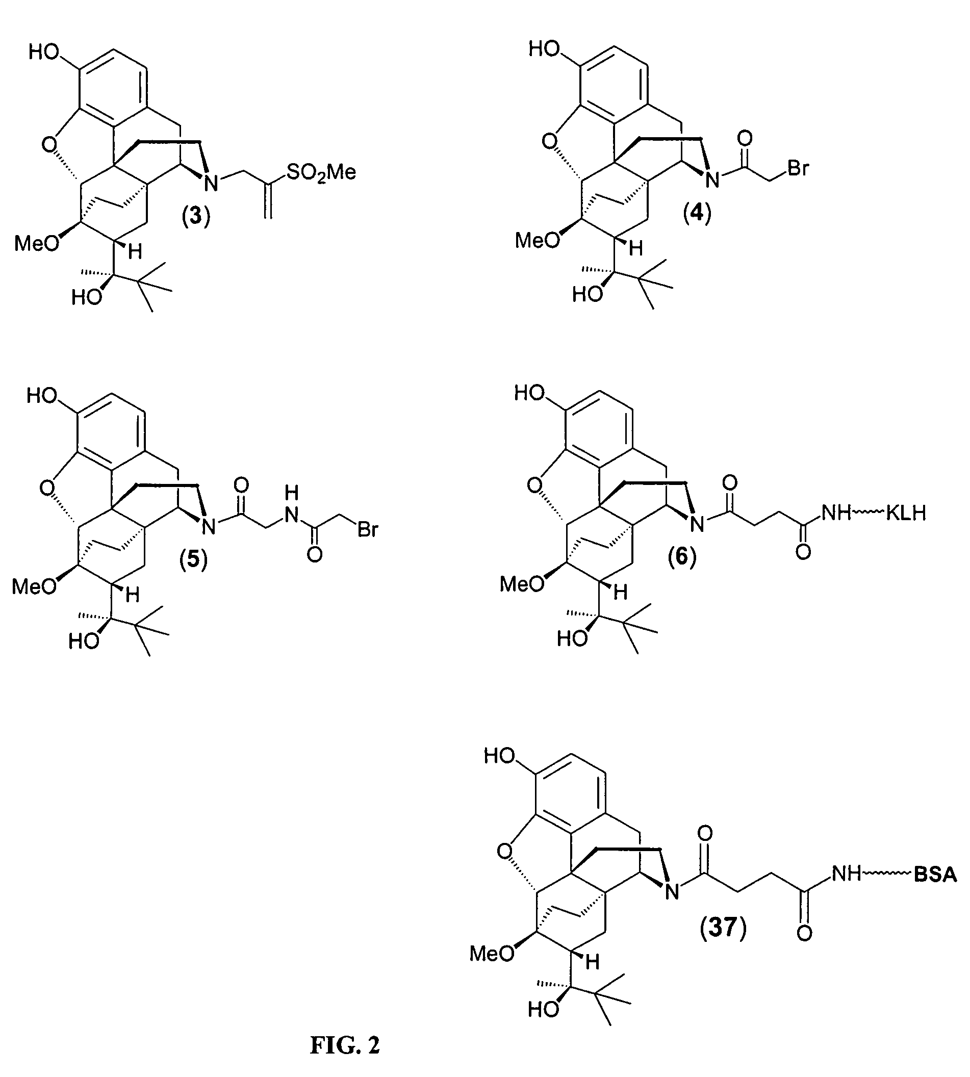 Immunoassays for buprenorphine and norbuprenorphine