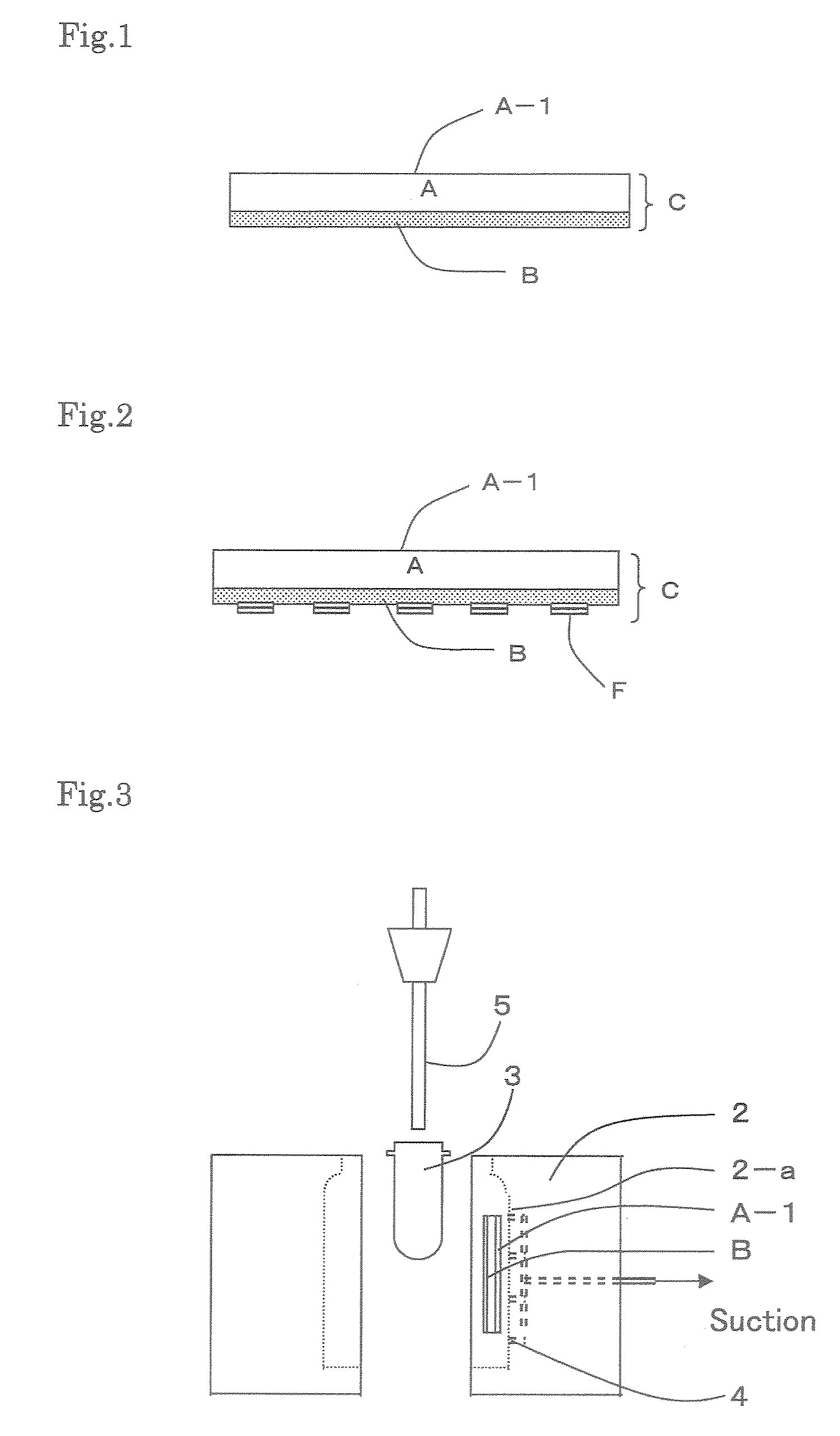 Labeled in-mold shaped article, and in-mold label