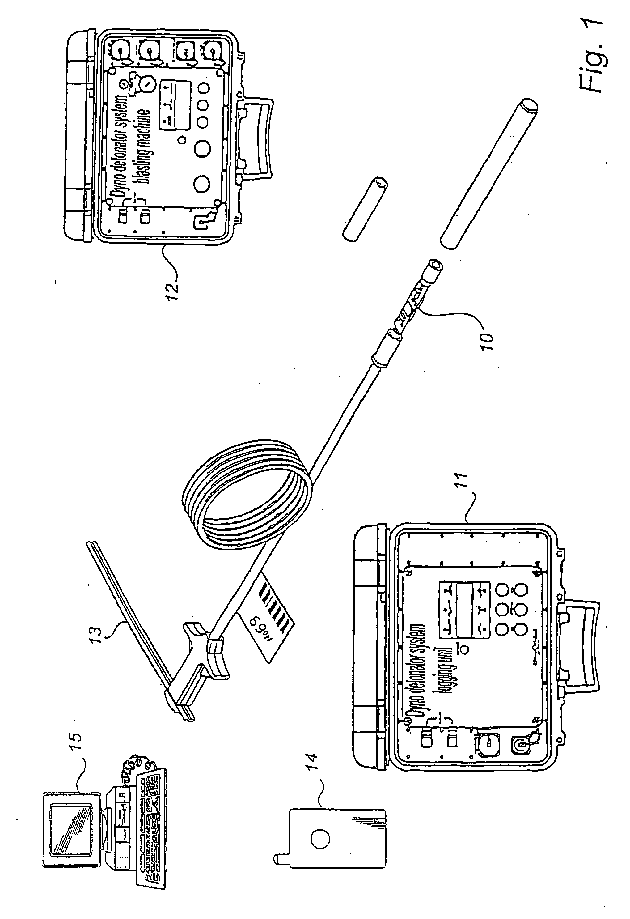 Flexible detonator system