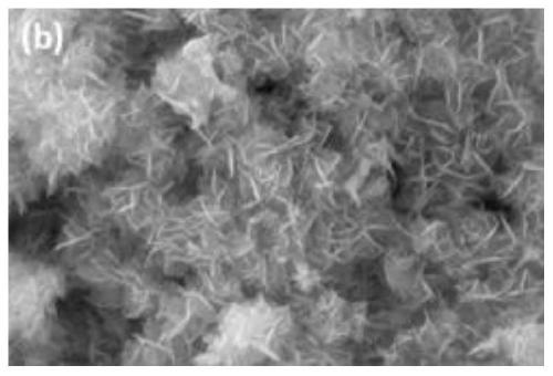 Preparation method and application of BiOCl/carbonized egg membrane composite visible light catalyst