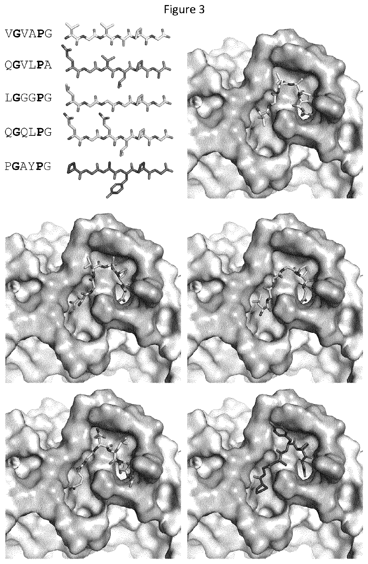 Peptide modulators of the interaction between human c-peptide and human elastin receptor for therapeutic use