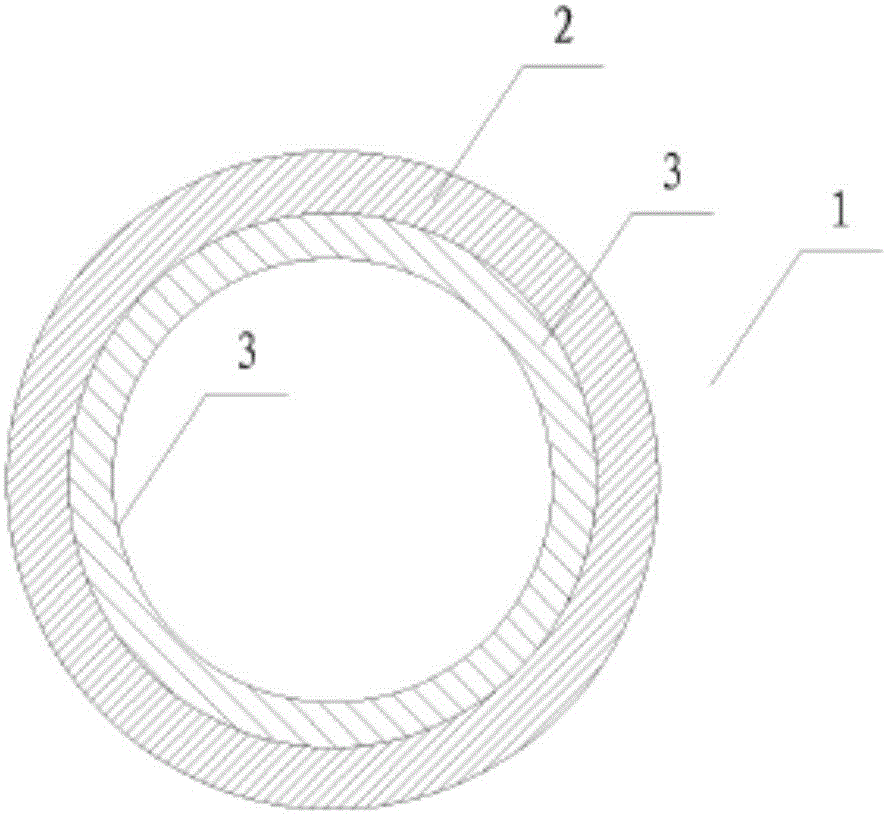 Composite type biological cannula and preparation method and application thereof