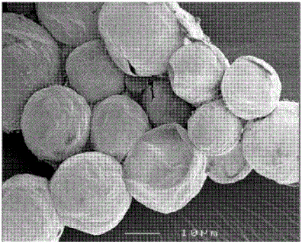 Composite type biological cannula and preparation method and application thereof