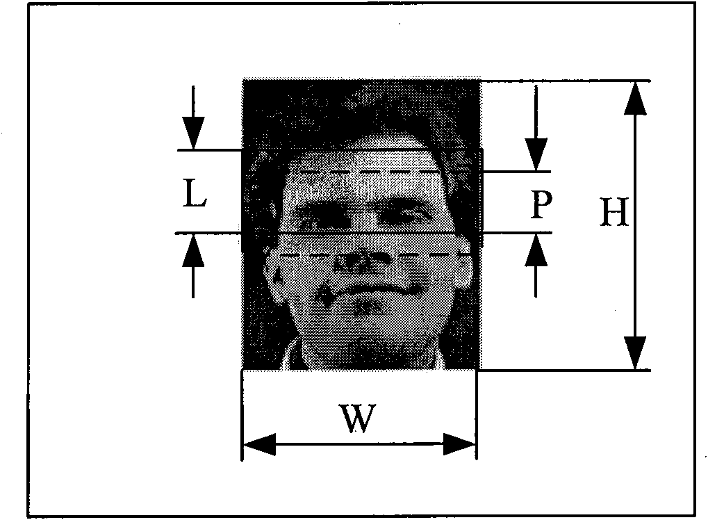 Method for identifying human faces based on HMM-SVM hybrid model