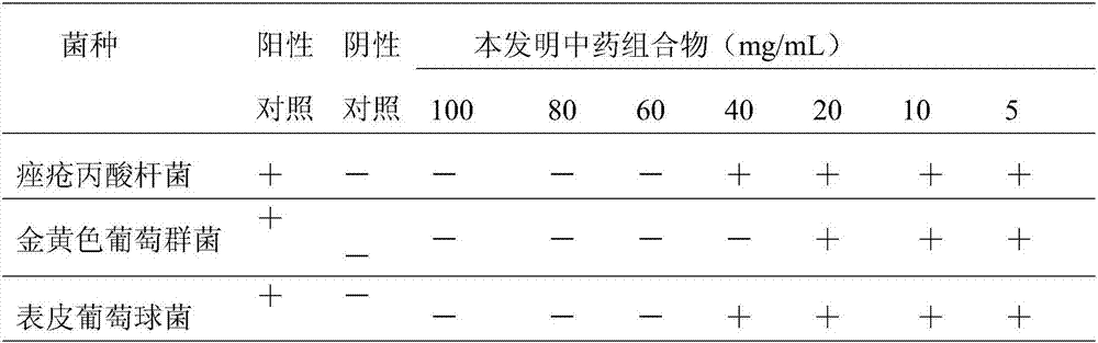 Traditional Chinese medicine composition for treating acnes and preparation method thereof