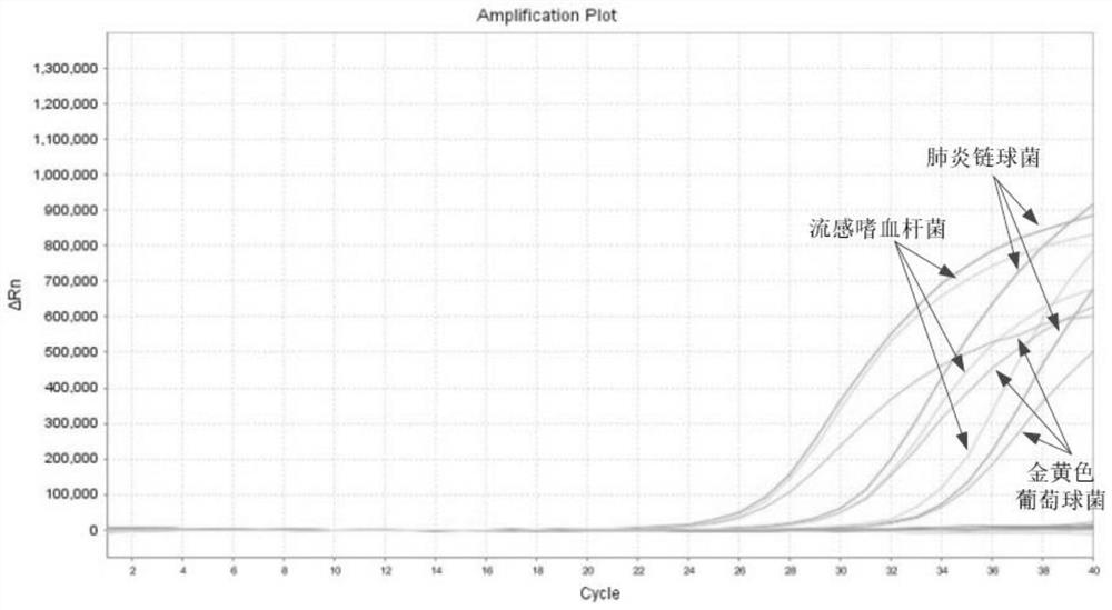 Real-time fluorescent quantitative PCR (polymerase chain reaction) detection method and kit for various respiratory tract pathogenic bacteria