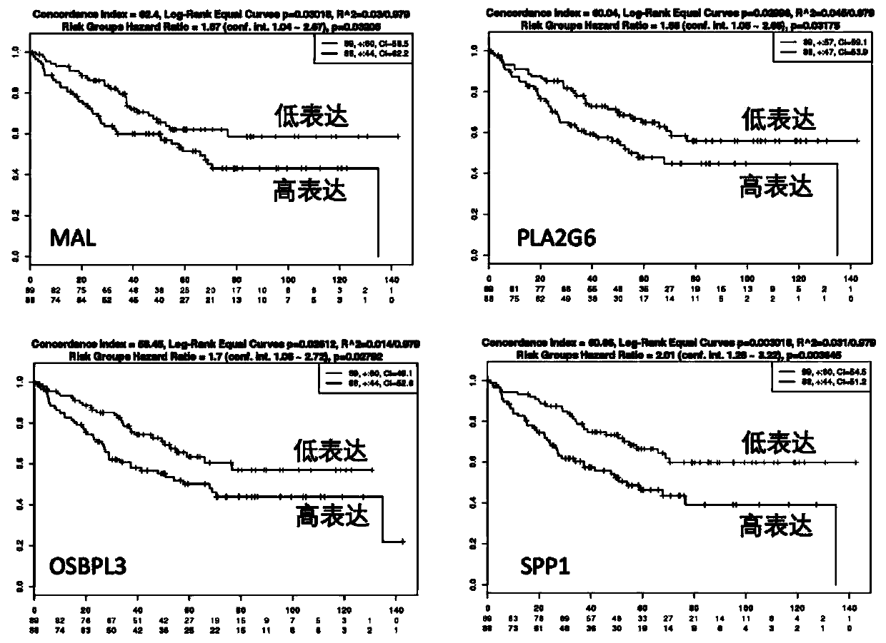 Application of group of genes related to prognosis of colon cancer