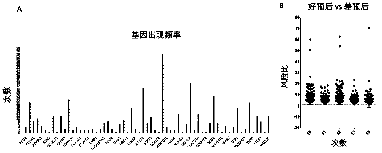 Application of group of genes related to prognosis of colon cancer