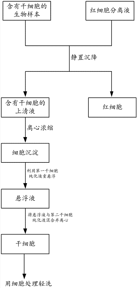 Method and kit for separating stem cells