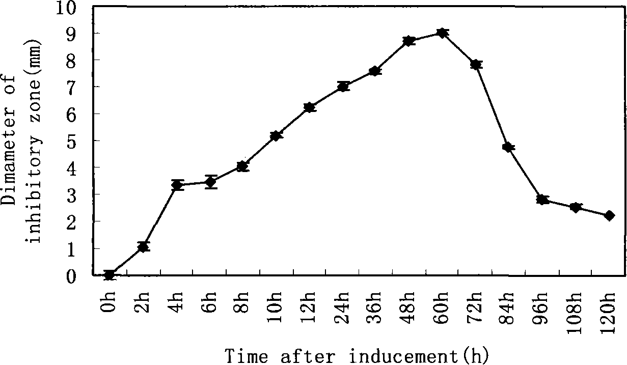 Method for inducing spider to generate antibiotic activity substance