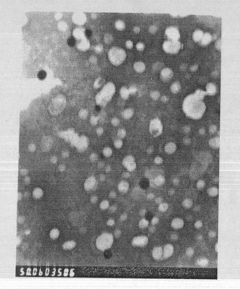 Novel long-circulating liposome composition and preparation method thereof